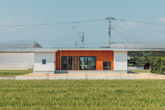 屋根　ガリバリウム鋼板　施工